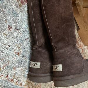 UGG Brown Winter & Rain Boots